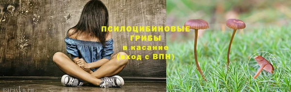 круглые Аркадак